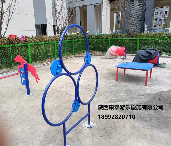 戶外寵物訓(xùn)練營
